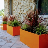 Greenville Planters
