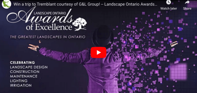 Awards of Excellence President's Reception