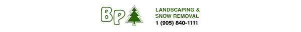 BP Landscaping and Snow Removal