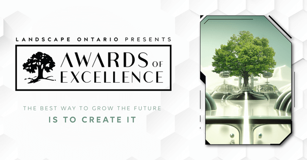 awards of excellence