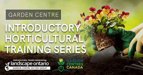 introductory training graphic