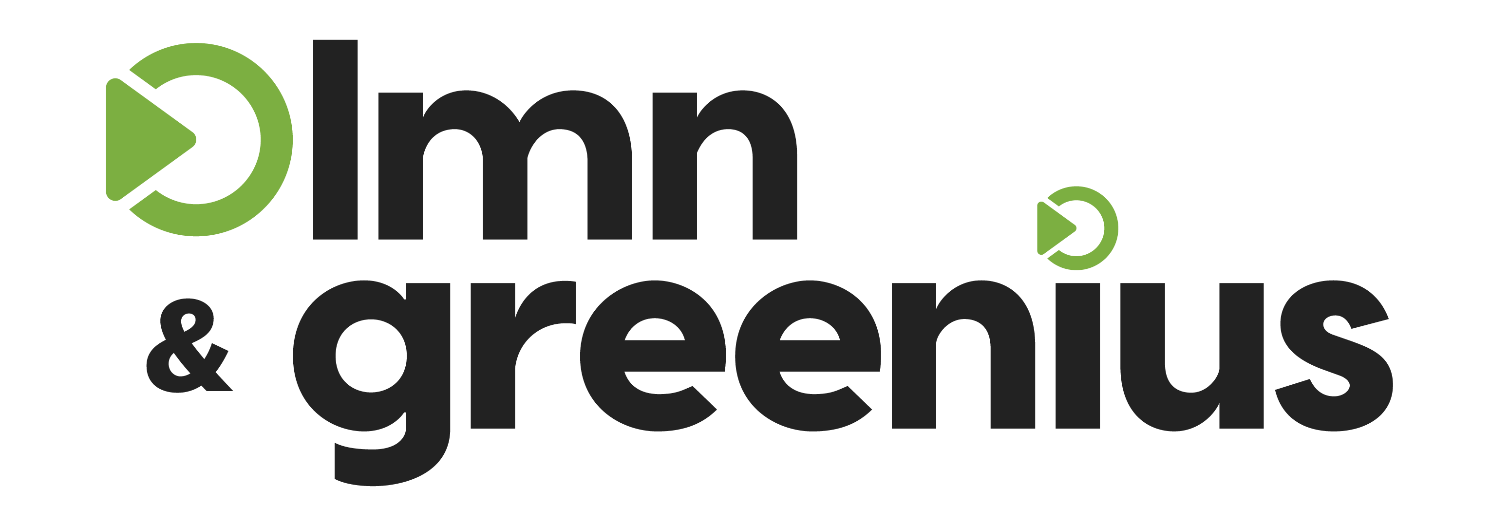 LMN Logo