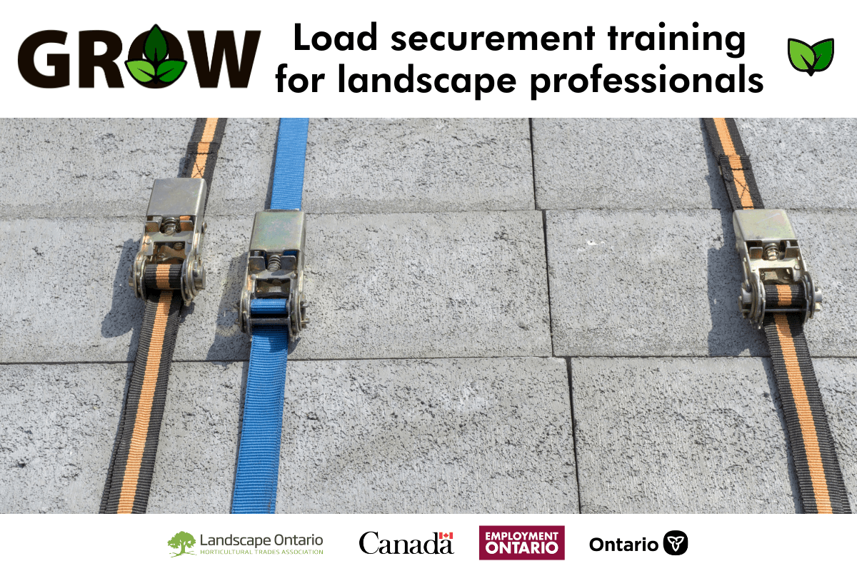 load securement graphic