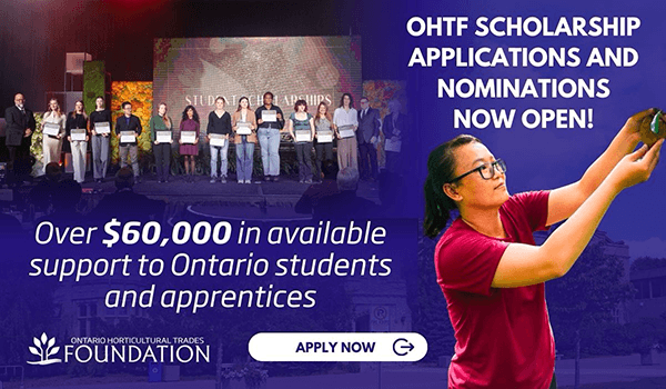 header graphic promoting scholarships