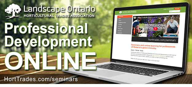 pro dev online graphic