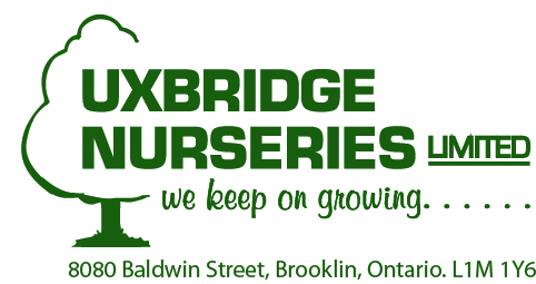 Uxbridge Nurseries