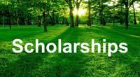 scholarships