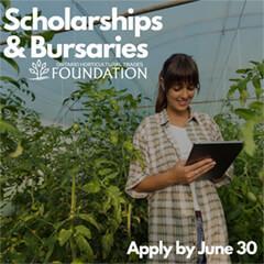 scholarships and bursaries. apply by June 30