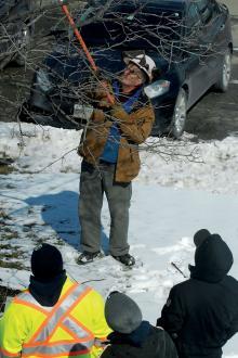 man demonstrating tree pruning to a class