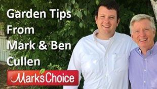 Garden Tips From Mark & Ben Cullen